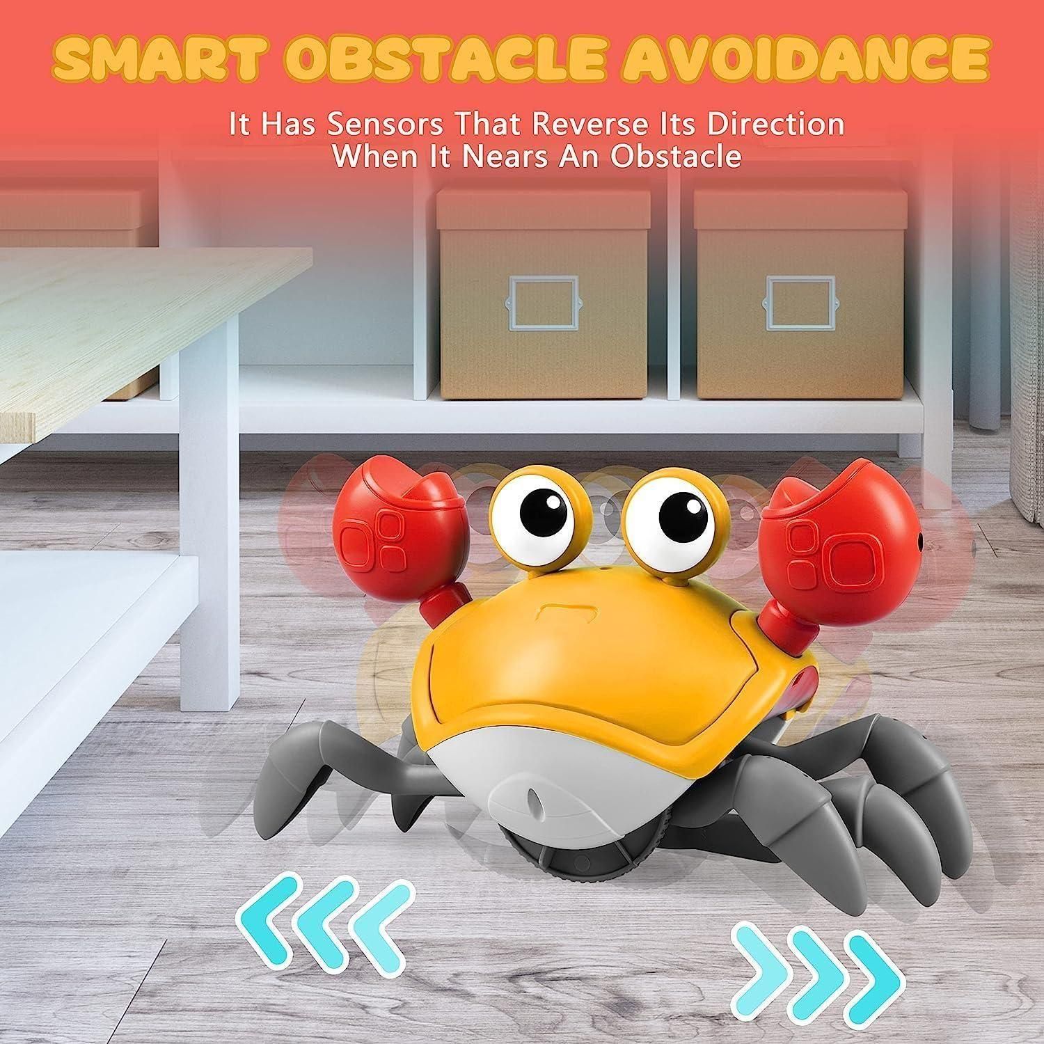 Cute Dancing Crab